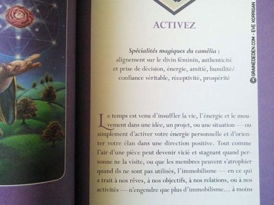 Oracle de la Magie des Fleurs de Tess Whitehurst et Anne Wertheim - Graine d'Eden Développement personnel, spiritualité, tarots et oracles divinatoires, Bibliothèques des Oracles, avis, présentation, review