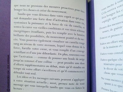 Oracle de la Magie des Fleurs de Tess Whitehurst et Anne Wertheim - Graine d'Eden Développement personnel, spiritualité, tarots et oracles divinatoires, Bibliothèques des Oracles, avis, présentation, review