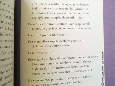 Oracle de la Magie des Fleurs de Tess Whitehurst et Anne Wertheim - Graine d'Eden Développement personnel, spiritualité, tarots et oracles divinatoires, Bibliothèques des Oracles, avis, présentation, review