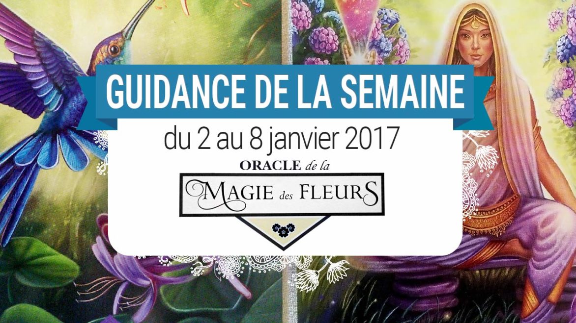 2 au 8 janvier 2017 - Votre guidance de la semaine avec l'Oracle de la Magie des Fleurs de Tess Whitehurst et Anne Wertheim - Graine d'Eden Tarots et Oracles divinatoires - avis, review, présentations