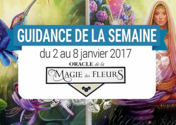 2 au 8 janvier 2017 - Votre guidance de la semaine avec l'Oracle de la Magie des Fleurs de Tess Whitehurst et Anne Wertheim - Graine d'Eden Tarots et Oracles divinatoires - avis, review, présentations