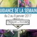 2 au 8 janvier 2017 - Votre guidance de la semaine avec l'Oracle de la Magie des Fleurs de Tess Whitehurst et Anne Wertheim - Graine d'Eden Tarots et Oracles divinatoires - avis, review, présentations