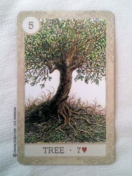 Fairy Tale Lenormand de Lisa Hunt et Arwen Lynch - Graine d'Eden Développement personnel, spiritualité, tarots et oracles divinatoires, Bibliothèques des Oracles, avis, présentation, review