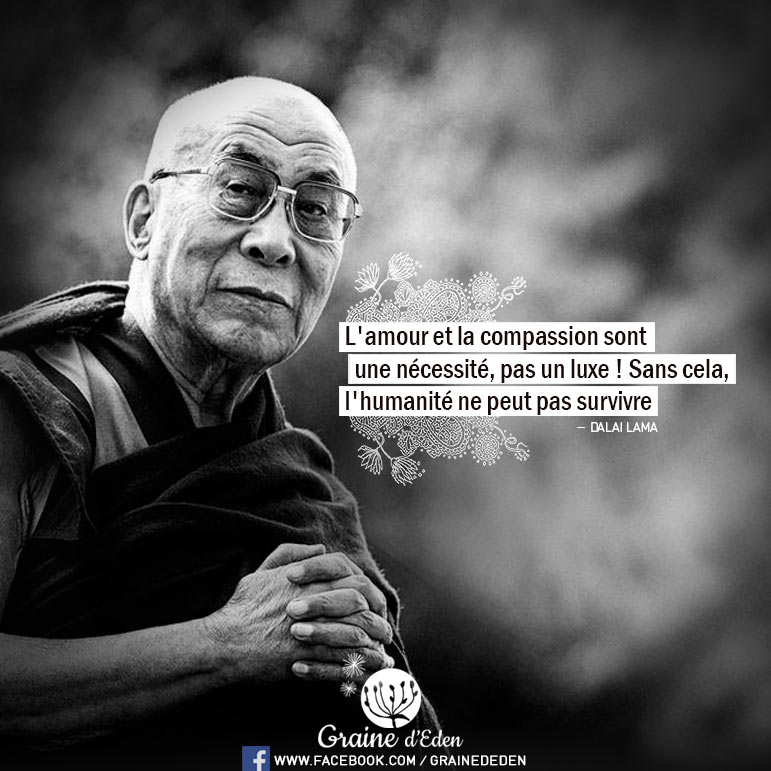 L'amour et la compassion sont une nécessité, pas un luxe ! Sans cela, l'humanité ne peut pas survivre. - LE DALAI LAMA - Graine d'Eden Citation