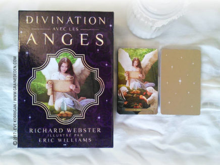 Cartes Oracle Divination avec les Anges de Richard Webster et Eric Williams - Graine d'Eden Développement personnel, spiritualité, tarots et oracles divinatoires, Bibliothèques des Oracles, avis, présentation, review