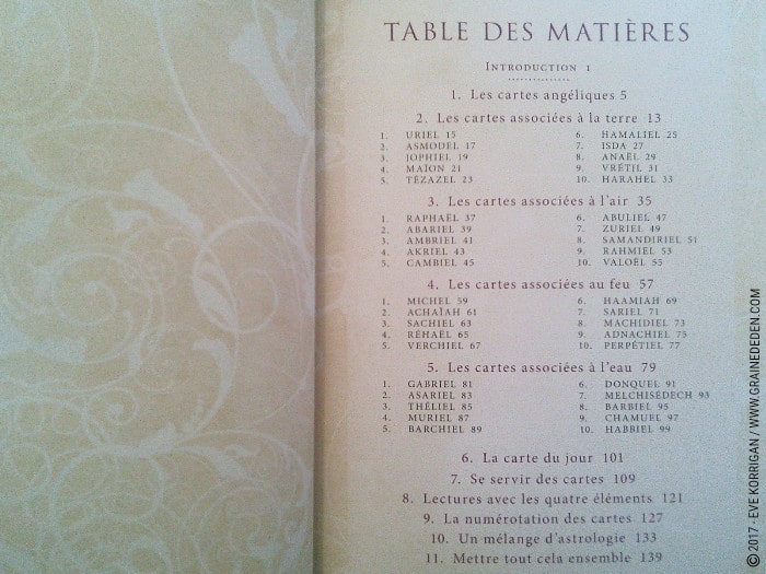 Cartes Oracle Divination avec les Anges de Richard Webster et Eric Williams - Graine d'Eden Développement personnel, spiritualité, tarots et oracles divinatoires, Bibliothèques des Oracles, avis, présentation, review