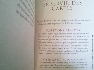 Cartes Oracle Divination avec les Anges de Richard Webster et Eric Williams - Graine d'Eden Développement personnel, spiritualité, tarots et oracles divinatoires, Bibliothèques des Oracles, avis, présentation, review