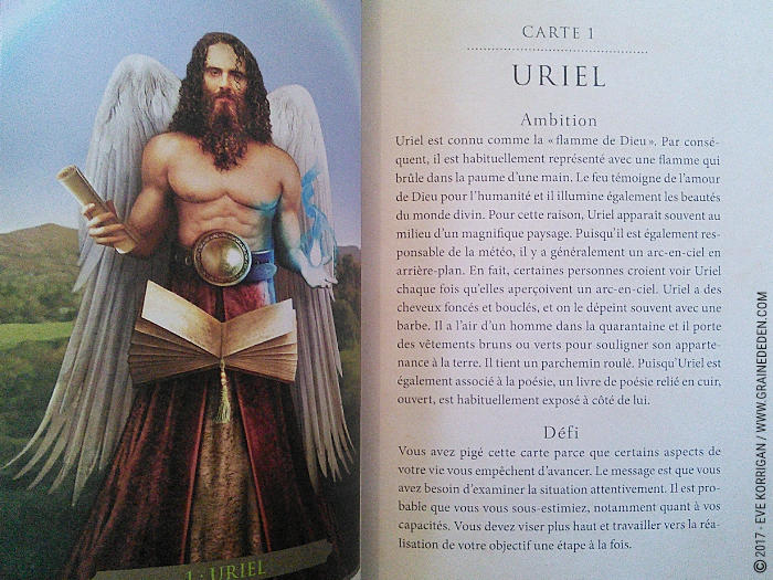 Cartes Oracle Divination avec les Anges de Richard Webster et Eric Williams - Graine d'Eden Développement personnel, spiritualité, tarots et oracles divinatoires, Bibliothèques des Oracles, avis, présentation, review