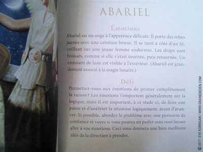 Cartes Oracle Divination avec les Anges de Richard Webster et Eric Williams - Graine d'Eden Développement personnel, spiritualité, tarots et oracles divinatoires, Bibliothèques des Oracles, avis, présentation, review