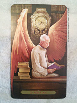 Cartes Oracle Divination avec les Anges de Richard Webster et Eric Williams - Graine d'Eden Développement personnel, spiritualité, tarots et oracles divinatoires, Bibliothèques des Oracles, avis, présentation, review