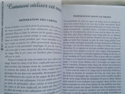 Graine d'Eden Développement personnel, spiritualité, tarots et oracles divinatoires, Bibliothèques des Oracles, avis, présentation, review