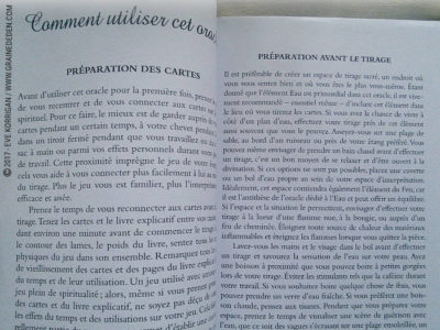 Graine d'Eden Développement personnel, spiritualité, tarots et oracles divinatoires, Bibliothèques des Oracles, avis, présentation, review