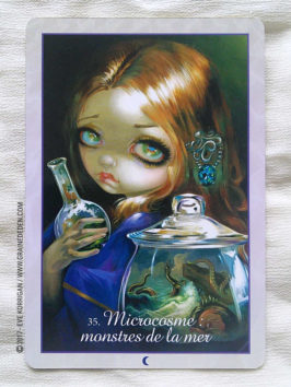 Oracle des Esprits de l'Eau de Jasmine Becket-Griffith - Graine d'Eden Développement personnel, spiritualité, tarots et oracles divinatoires, Bibliothèques des Oracles, avis, présentation, review