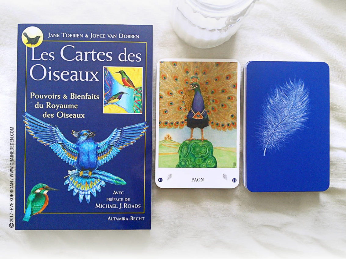 Les Cartes des Oiseaux de Jane Toerien et Joyce Van Dobben - Graine d'Eden Développement personnel, spiritualité, tarots et oracles divinatoires, Bibliothèques des Oracles, avis, présentation, review