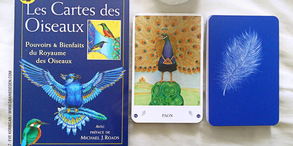 Les Cartes des Oiseaux de Jane Toerien et Joyce Van Dobben - Graine d'Eden Développement personnel, spiritualité, tarots et oracles divinatoires, Bibliothèques des Oracles, avis, présentation, review