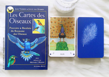 Les Cartes des Oiseaux de Jane Toerien et Joyce Van Dobben - Graine d'Eden Développement personnel, spiritualité, tarots et oracles divinatoires, Bibliothèques des Oracles, avis, présentation, review