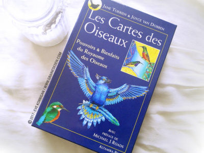 Les Cartes des Oiseaux de Jane Toerien et Joyce Van Dobben - Graine d'Eden Développement personnel, spiritualité, tarots et oracles divinatoires, Bibliothèques des Oracles, avis, présentation, review