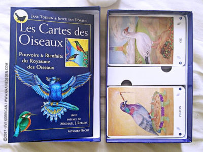 Les Cartes des Oiseaux de Jane Toerien et Joyce Van Dobben - Graine d'Eden Développement personnel, spiritualité, tarots et oracles divinatoires, Bibliothèques des Oracles, avis, présentation, review