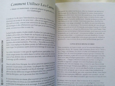 Les Cartes des Oiseaux de Jane Toerien et Joyce Van Dobben - Graine d'Eden Développement personnel, spiritualité, tarots et oracles divinatoires, Bibliothèques des Oracles, avis, présentation, review