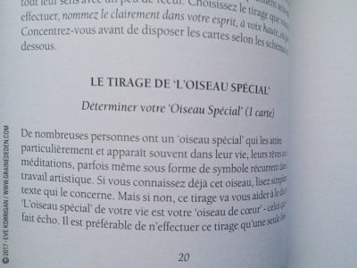 Les Cartes des Oiseaux de Jane Toerien et Joyce Van Dobben - Graine d'Eden Développement personnel, spiritualité, tarots et oracles divinatoires, Bibliothèques des Oracles, avis, présentation, review