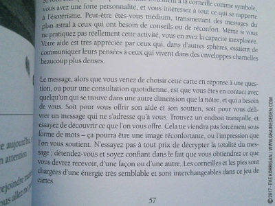 Les Cartes des Oiseaux de Jane Toerien et Joyce Van Dobben - Graine d'Eden Développement personnel, spiritualité, tarots et oracles divinatoires, Bibliothèques des Oracles, avis, présentation, review