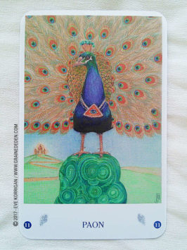 Les Cartes des Oiseaux de Jane Toerien et Joyce Van Dobben - Graine d'Eden Développement personnel, spiritualité, tarots et oracles divinatoires, Bibliothèques des Oracles, avis, présentation, review