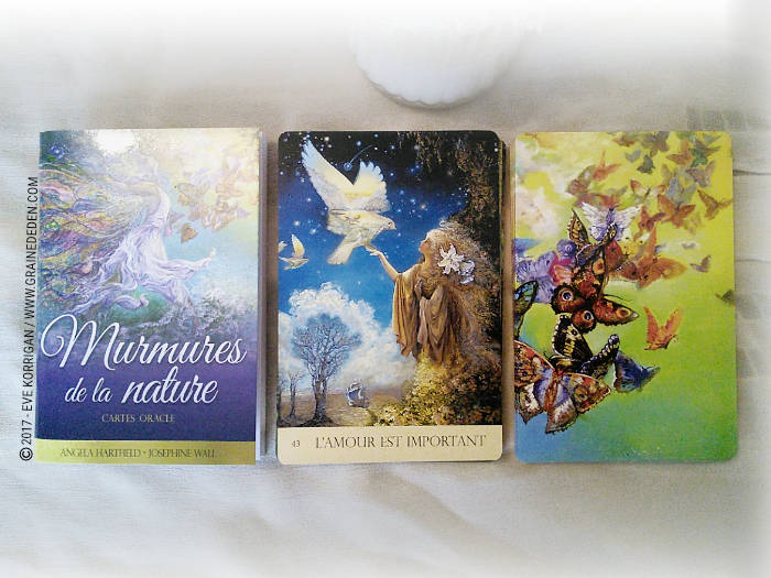 Cartes Oracle Murmures de la Nature de Angela Hartfield et Josephine Wall - Graine d'Eden Développement personnel, spiritualité, tarots et oracles divinatoires, Bibliothèques des Oracles, avis, présentation, review