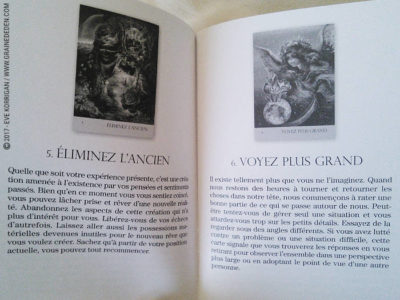 Cartes Oracle Murmures de la Nature de Angela Hartfield et Josephine Wall - Graine d'Eden Développement personnel, spiritualité, tarots et oracles divinatoires, Bibliothèques des Oracles, avis, présentation, review