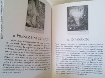 Cartes Oracle Murmures de la Nature de Angela Hartfield et Josephine Wall - Graine d'Eden Développement personnel, spiritualité, tarots et oracles divinatoires, Bibliothèques des Oracles, avis, présentation, review