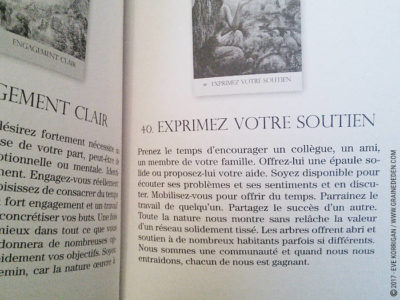 Cartes Oracle Murmures de la Nature de Angela Hartfield et Josephine Wall - Graine d'Eden Développement personnel, spiritualité, tarots et oracles divinatoires, Bibliothèques des Oracles, avis, présentation, review