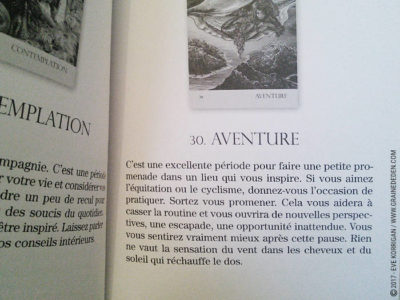 Cartes Oracle Murmures de la Nature de Angela Hartfield et Josephine Wall - Graine d'Eden Développement personnel, spiritualité, tarots et oracles divinatoires, Bibliothèques des Oracles, avis, présentation, review