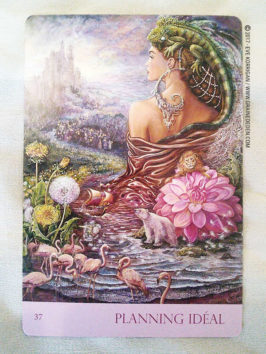 Cartes Oracle Murmures de la Nature de Angela Hartfield et Josephine Wall - Graine d'Eden Développement personnel, spiritualité, tarots et oracles divinatoires, Bibliothèques des Oracles, avis, présentation, review