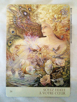 Cartes Oracle Murmures de la Nature de Angela Hartfield et Josephine Wall - Graine d'Eden Développement personnel, spiritualité, tarots et oracles divinatoires, Bibliothèques des Oracles, avis, présentation, review