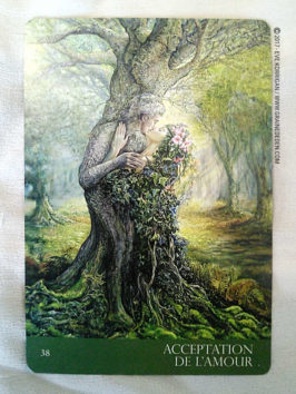 Cartes Oracle Murmures de la Nature de Angela Hartfield et Josephine Wall - Graine d'Eden Développement personnel, spiritualité, tarots et oracles divinatoires, Bibliothèques des Oracles, avis, présentation, review