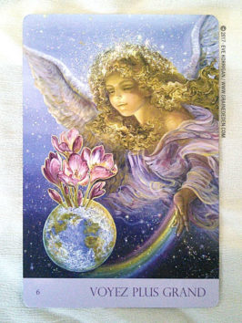 Cartes Oracle Murmures de la Nature de Angela Hartfield et Josephine Wall - Graine d'Eden Développement personnel, spiritualité, tarots et oracles divinatoires, Bibliothèques des Oracles, avis, présentation, review