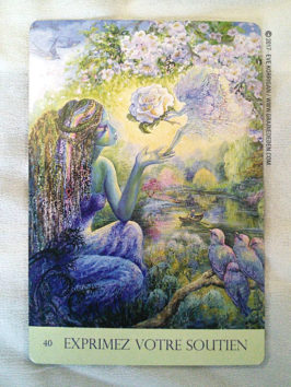 Cartes Oracle Murmures de la Nature de Angela Hartfield et Josephine Wall - Graine d'Eden Développement personnel, spiritualité, tarots et oracles divinatoires, Bibliothèques des Oracles, avis, présentation, review