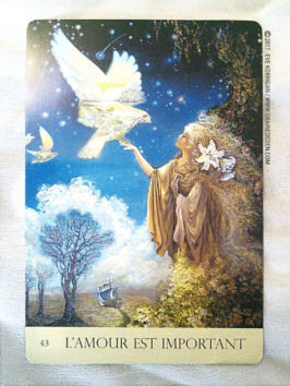 Cartes Oracle Murmures de la Nature de Angela Hartfield et Josephine Wall - Graine d'Eden Développement personnel, spiritualité, tarots et oracles divinatoires, Bibliothèques des Oracles, avis, présentation, review