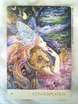 Cartes Oracle Murmures de la Nature de Angela Hartfield et Josephine Wall - Graine d'Eden Développement personnel, spiritualité, tarots et oracles divinatoires, Bibliothèques des Oracles, avis, présentation, review