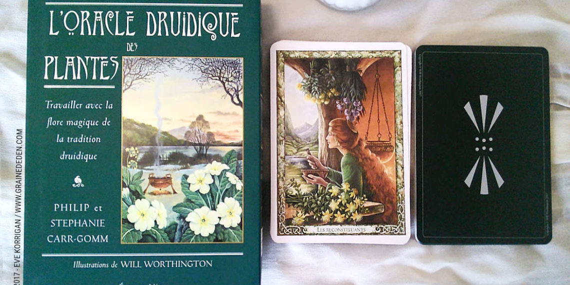 L'Oracle Druidique des Plantes de Philip et Stephanie Carr-Gomm - Graine d'Eden Développement personnel, spiritualité, tarots et oracles divinatoires, Bibliothèques des Oracles, avis, présentation, review