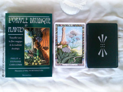 L'Oracle Druidique des Plantes de Philip et Stephanie Carr-Gomm - Graine d'Eden Développement personnel, spiritualité, tarots et oracles divinatoires, Bibliothèques des Oracles, avis, présentation, review