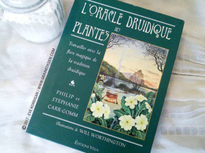 L'Oracle Druidique des Plantes de Philip et Stephanie Carr-Gomm - Graine d'Eden Développement personnel, spiritualité, tarots et oracles divinatoires, Bibliothèques des Oracles, avis, présentation, review