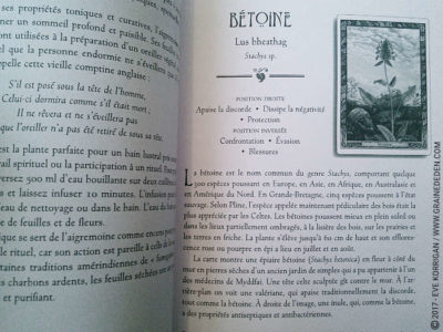 Graine d'Eden Développement personnel, spiritualité, tarots et oracles divinatoires, Bibliothèques des Oracles, avis, présentation, review