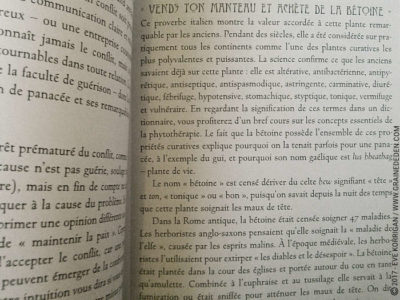 Graine d'Eden Développement personnel, spiritualité, tarots et oracles divinatoires, Bibliothèques des Oracles, avis, présentation, review