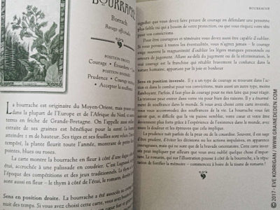 Graine d'Eden Développement personnel, spiritualité, tarots et oracles divinatoires, Bibliothèques des Oracles, avis, présentation, review