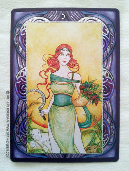 Wiccan Wicca Oracle cards de Lunaea Wheaterstone et Nada Mesar - Graine d'Eden Développement personnel, spiritualité, tarots et oracles divinatoires, Bibliothèques des Oracles, avis, présentation, review