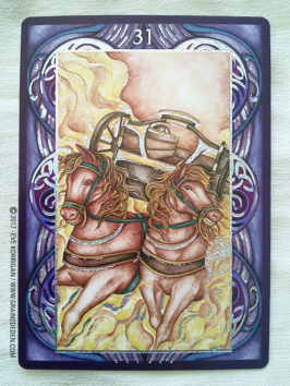 Wiccan Wicca Oracle cards de Lunaea Wheaterstone et Nada Mesar - Graine d'Eden Développement personnel, spiritualité, tarots et oracles divinatoires, Bibliothèques des Oracles, avis, présentation, review