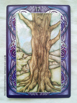 Wiccan Wicca Oracle cards de Lunaea Wheaterstone et Nada Mesar - Graine d'Eden Développement personnel, spiritualité, tarots et oracles divinatoires, Bibliothèques des Oracles, avis, présentation, review