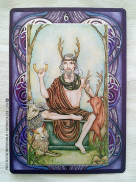 Wiccan Wicca Oracle cards de Lunaea Wheaterstone et Nada Mesar - Graine d'Eden Développement personnel, spiritualité, tarots et oracles divinatoires, Bibliothèques des Oracles, avis, présentation, review