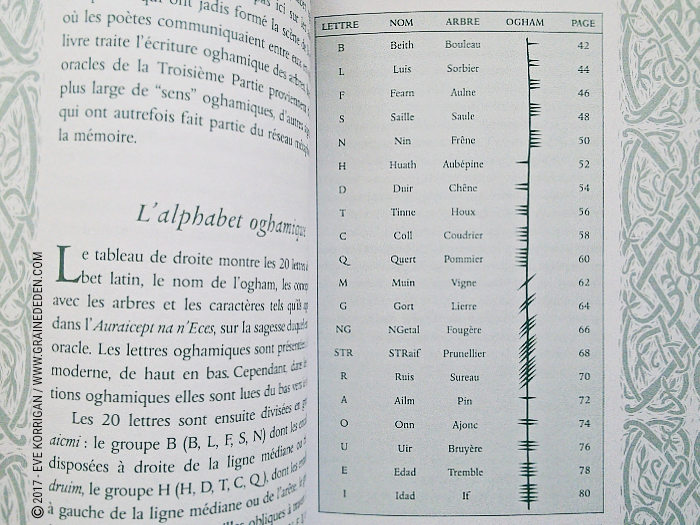 Bâtonnets Celtiques de Sagesse - Oracle Ogham de Caitlin Matthews - Graine d'Eden Développement personnel, spiritualité, tarots et oracles divinatoires, Bibliothèques des Oracles, avis, présentation, review , revue