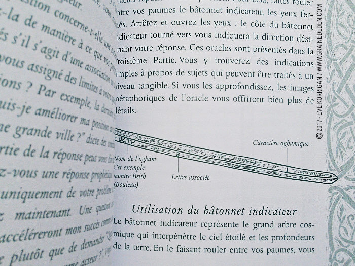 Bâtonnets Celtiques de Sagesse - Oracle Ogham de Caitlin Matthews - Graine d'Eden Développement personnel, spiritualité, tarots et oracles divinatoires, Bibliothèques des Oracles, avis, présentation, review , revue